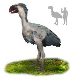 Gastornis gigantea (previously known as "Diatryma") was the largest bird to ever inhabit North America, weighing up to 225 kg (496 lb).