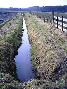 Headwaters of the Gender stream near Steensel