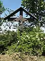 Wayside cross with a blooming black elder