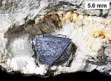 Image 14Sphalerite crystal partially encased in calcite from the Devonian Milwaukee Formation of Wisconsin (from Mineral)