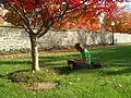 Student studying on Copley Lawn