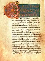 Text of Gero Codex