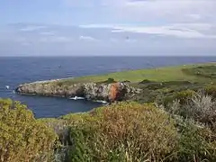 Giannutri's disused runway