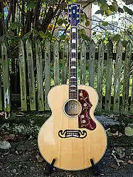 Steel-string acoustic guitar