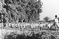 Palmach, 11th Company, doing morning exercises at Ginosar, 1947