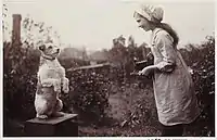 Girl taking a photo of a Fox Terrier