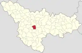 Location in Timiș County