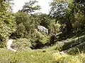 View of Glendurgan