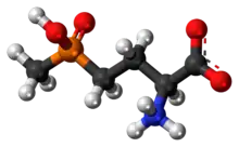 Ball-and-stick model of the glufosinate zwitterion