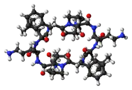 Ball-and-stick model of the Gramicidin S molecule