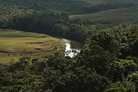 River in the Gran Sabana