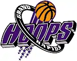 Grand Rapids Hoops logo