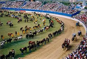 The Grand Parade at the Sydney Showground Stadium