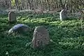 Jewish cemetery in Lyubavichi