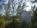 Giant concrete block in the trees of Great Stirrup Cay