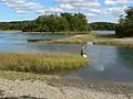 Fishing in Back River