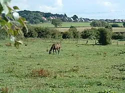 Field in the parish