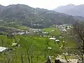 Martung Valley, Green with Wheat Crop