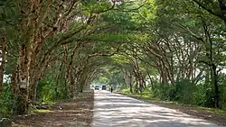 Myingyan-Mandalay road within Natogyi Township