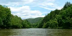 river with green mountains in background and trees on each side