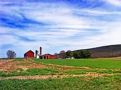 A farm in Greene Township