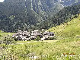 Gribbio Village