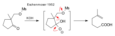 Fragmentation Eschenmoser 1952