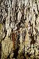 Stalactites with spikes