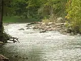 The Guadalupe River in Gruene