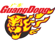 Guangdong Southern Tigers logo