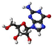 Ball-and-stick model of the guanosine molecule