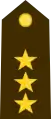 Colonel