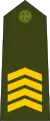 Primeiro-sargento(Army of Guinea-Bissau)