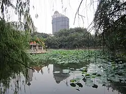 Guzhen park