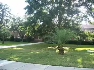 Picture of building behind palm trees