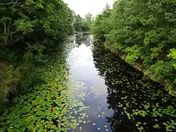 Hörsne stream