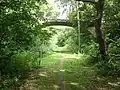 A naturepath on an abandoned railway track