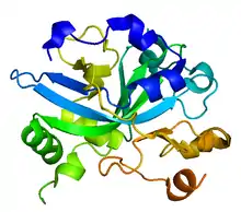 PDB rendering based on 1F6O