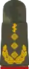 Generalober­stabsarzt(Human medicine)