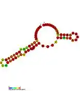 HOTAIR_2:  Secondary structure taken from the Rfam database. Family RF01905