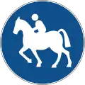 Rider horses Only