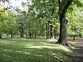 Little Hagley Park (north of Harper Ave) in summer