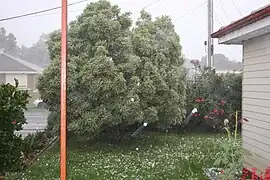 Rain & hail under the Dec 2011 supercell that hit Melbourne.