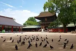 Hakozaki Shrine