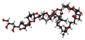 Space-filling model of the halichondrin B molecule