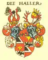 Larger coat of arms of 1528