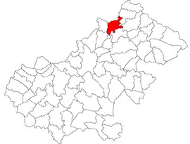 Location in Satu Mare County