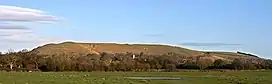 photo of Hambledon Hill seen from west