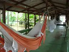 Hammocks,Amazon River island,Brazil.