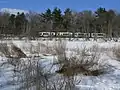 MBTA Green Line train